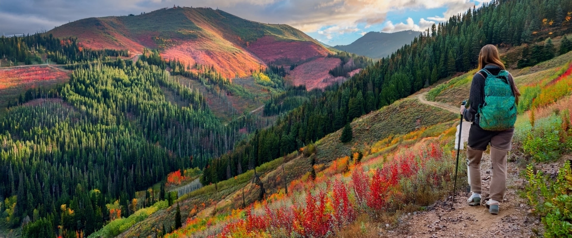 The Evolution of Reservations and Cancellations in the Hospitality Industry in Utah County, Utah