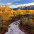 The Resilience of Utah County's Hospitality Industry during Emergencies and Natural Disasters