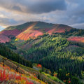 The Evolution of Reservations and Cancellations in the Hospitality Industry in Utah County, Utah