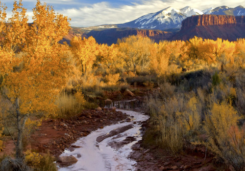 The Resilience of Utah County's Hospitality Industry during Emergencies and Natural Disasters