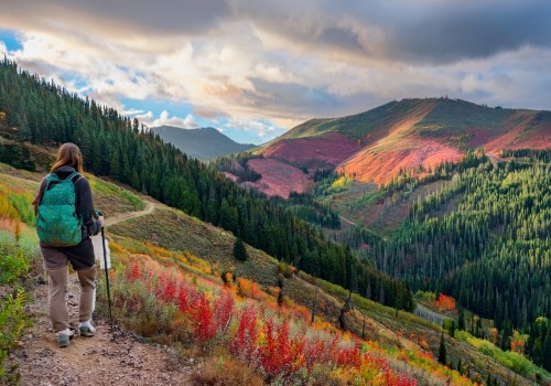 The Evolution of Reservations and Cancellations in the Hospitality Industry in Utah County, Utah